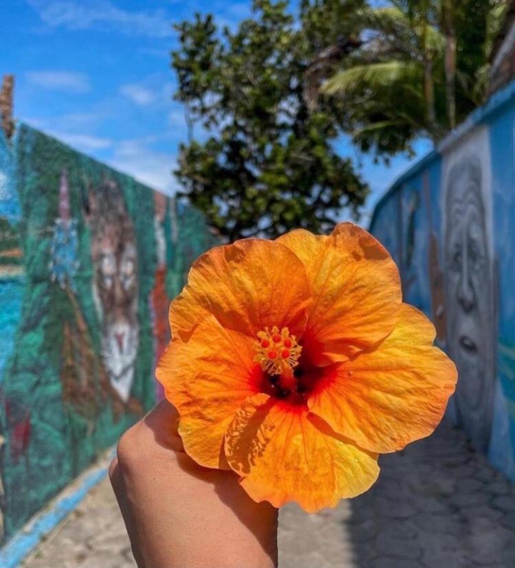 Casa De Condominio Em Maresias - Pertinho Da Praia Exteriér fotografie